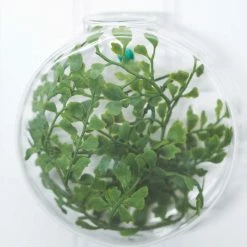 Richland Hollis Wall Vase Set Of 2 Weddings