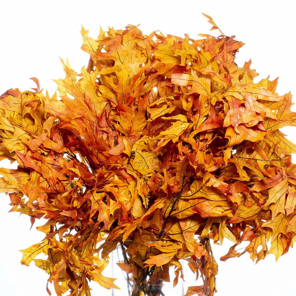 Richland Preserved Golden Orange Autumn Oak Branches Shop By Event 1 Richland Preserved Golden Orange Autumn Oak Branches Shop By Event