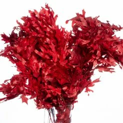 Richland Preserved Red Oak Branches Shop By Event