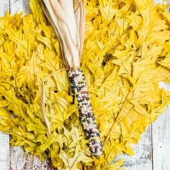 Richland Thanksgiving Preserved Yellow Oak Branches