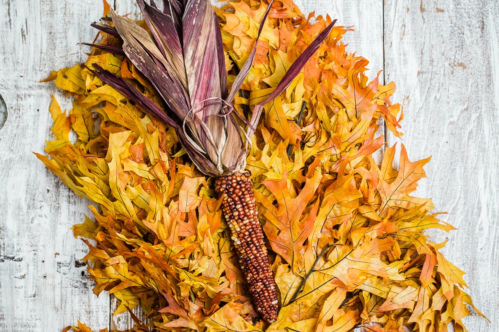 Richland Preserved Golden Orange Autumn Oak Branches Shop By Event 2 Richland Preserved Golden Orange Autumn Oak Branches Shop By Event