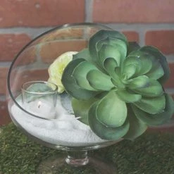 Richland Vira Footed Terrarium Set Of 4 Shop By Event