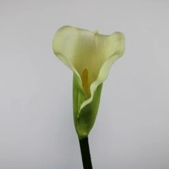 Seasonal Parties Richland White Calla Lily 30