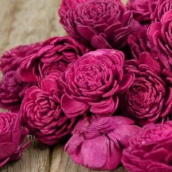 Richland Sola Flowers Bougainvillea Shell Flowers 24 Flowers Fall