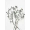 Seasonal Parties Richland Conical Gum Branches White Washed 8"-12" Bunch