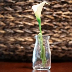 Weddings Richland Rhea Bud Vase Set Of 12