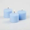 Richland Votive Candles Unscented Light Blue 10 Hour Set Of 12 Shop By Event