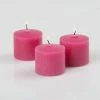 Richland Votive Candles Unscented Hot Pink 10 Hour Set Of 12