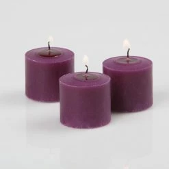 Richland Votive Candles & Eastland Frosted Votive Holders Set Of 288