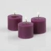 Richland Votive Candles Unscented Purple 10 Hour Set Of 72 Shop By Event