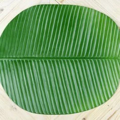 Richland Banana Leaf Tropical Place Mat 19x16 Christmas