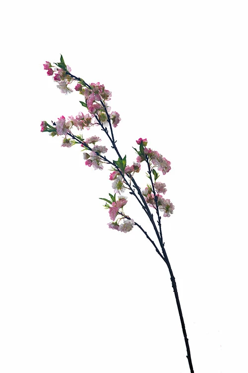 Richland Pink Cherry Blossom Branch 45" Valentine's Day 3 Richland Pink Cherry Blossom Branch 45" Valentine's Day