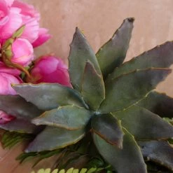 Richland Christmas Natural Touch 8" Succulent