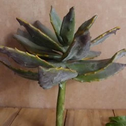 Richland Christmas Natural Touch 8" Succulent