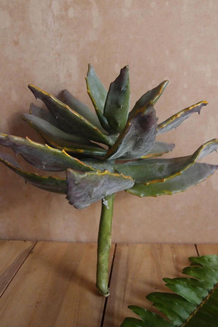 Richland Christmas Natural Touch 8" Succulent 2 Richland Christmas Natural Touch 8" Succulent