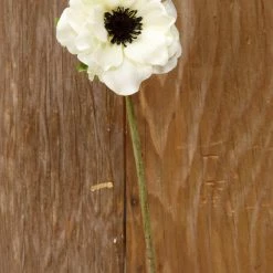 Richland Cream White Silk Anemone Flowers 15in Seasonal Parties