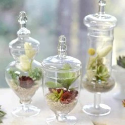 Richland Weddings Set Of 3 Small Apothecary Jars 9, 12 & 13.5"