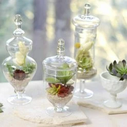 Richland Weddings Set Of 3 Small Apothecary Jars 9, 12 & 13.5"