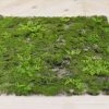 Richland Artificial Moss & Fern Tile 20in Christmas