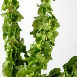 Richland Silk Bells Of Ireland 5 Stems 21in