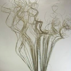 Richland Seasonal Parties Natural Curly Ting WHITE SPARKLE (32 Stems) 27"