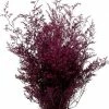 Richland Preserved Dyed Caspia 8 Oz.Merlot