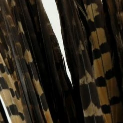 Richland Shop By Event Pheasant Feathers 18in | Pack Of 100