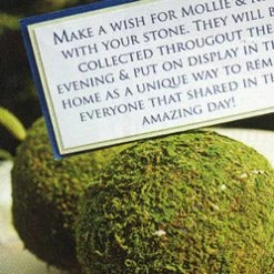 Richland Natural Moss Balls 2 Inch (6 Balls)