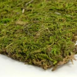 Richland Christmas Preserved Natural Moss 18" X 16" Roll