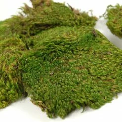 Richland Christmas Mood Moss 480 Cubic In