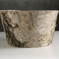 Richland Natural Birch Bark Zinc Pot Planter 6x3