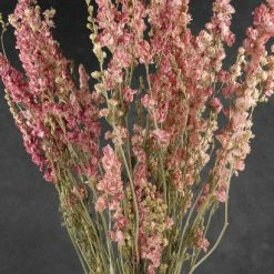 Richland Valentine's Day Pink Dried Larkspur Flowers 15 Stems