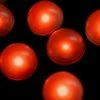 Richland Orange Fairy Berries (pack Of 10) LED Light Orbs Lighting