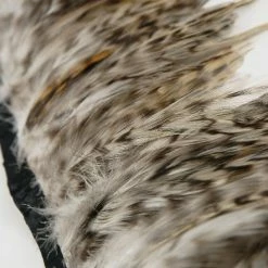 Richland Feather Trim Chinchilla 36in Shop By Event