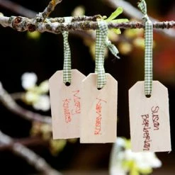 Richland 25 Wood Hang Tags 3.25" Unfinished