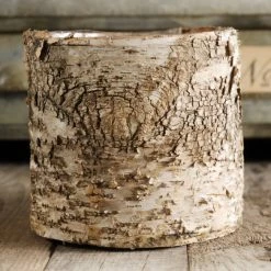 Richland Pots & Planters Birch Bark Covered 6" Planter Pot W/Liner