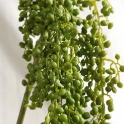 Richland String Of Pearls Succulent Garland 4ft