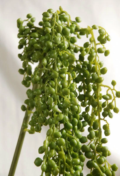 Richland String Of Pearls Succulent Garland 4ft 2 Richland String Of Pearls Succulent Garland 4ft