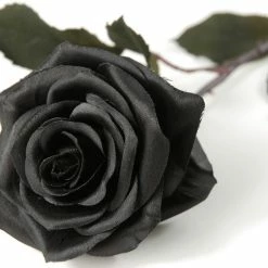 Richland Fall Black Silk Rose
