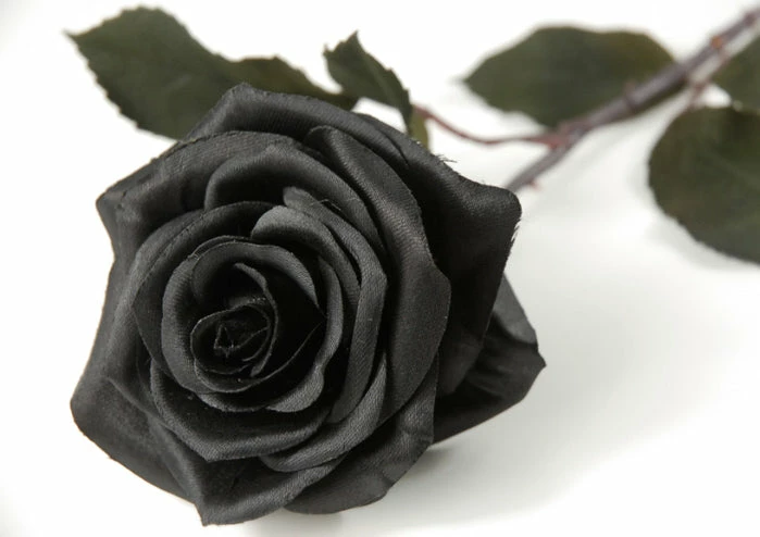 Richland Fall Black Silk Rose 2 Richland Fall Black Silk Rose