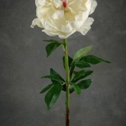 Richland Natural Touch Large Cream White Peony Flowers Seasonal Parties