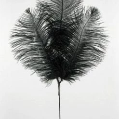 Richland 3 Black 28" Ostrich Feathers On Wires Shop By Event