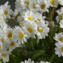Richland Seasonal Parties White Daisy Bouquet With 24 Stems