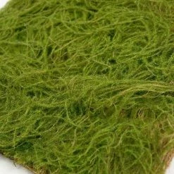 Richland Square Water Sphagnum Moss Sheet Green 14x14 Weddings