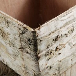 Save-On-Crafts Pots & Planters Birch Square Pot 5.5" Light White