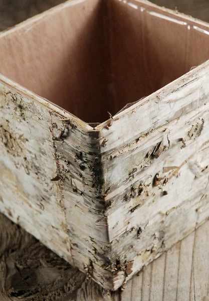 Save-On-Crafts Pots & Planters Birch Square Pot 5.5" Light White 2 Save-On-Crafts Pots & Planters Birch Square Pot 5.5" Light White