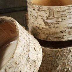 Richland Pots & Planters Birch Bark Pot Round 7.5 X 4"