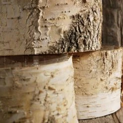 Richland Birch Bark Planter Pot 6.5x 3.5 Inch