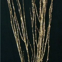 Richland Gold Natural Birch Tree Branches 3-4ft