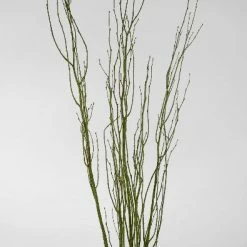 Richland Birch Tree Branches Moss Coated 4.5' (3 Branches/ Bunch) Christmas